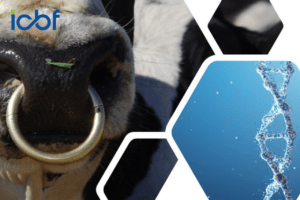 Unlock More Value From Your Herd’s Genotype Data With The New Genomic Results Profile