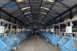 Read more about the article Producing More Beef from Less Feed with the Commercial Beef Value