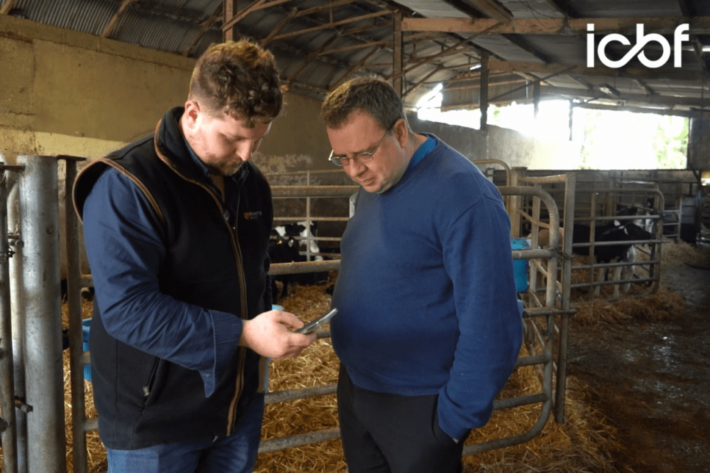 Smarter Breeding Made Easy: The Kerry Herd Showing What Sire Advice Can Achieve