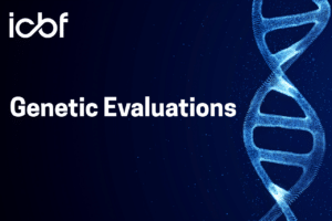Read more about the article First Genetic Evaluation of 2027 Scheduled for 18th March