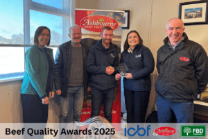 Read more about the article A Finish‑Focused Dairy‑Beef System Delivering Results on the Mounsey Farm