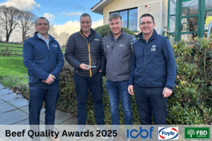 Read more about the article Building Profit Through Precision Dairy‑Beef Finishing on the Wylie Herd