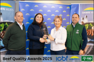 Read more about the article Building a Profitable Dairy Beef System With CBV: Breda Ryan’s Approach