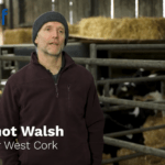 Using Genomics, EBI and CBV to Build a Profitable Dairy Farm in Barryroe