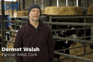 Read more about the article Using Genomics, EBI and CBV to Build a Profitable Dairy Farm in Barryroe