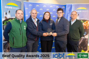 Read more about the article From stores to sucklers: evolving a finish-focused beef system on the Heffernan farm