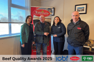 A Practical Approach to Dairy‑Beef Finishing: Delivering Consistent Performance in Co. Tipperary