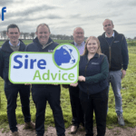 Why More Dairy Farmers Are Using Sire Advice This Breeding Season