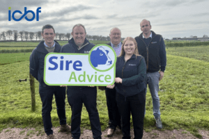 Why More Dairy Farmers Are Using Sire Advice This Breeding Season
