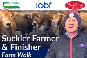 Read more about the article Beef Quality Awards 2025 Farm Walk – Thomas Carroll