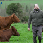 Focusing on Fertility, Milk Solids and Calf Quality at Mike Dunne’s Kilworth Dairy Farm