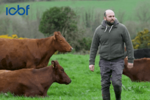 Read more about the article Focusing on Fertility, Milk Solids and Calf Quality at Mike Dunne’s Kilworth Dairy Farm