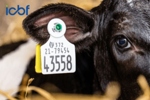 National Genotyping Programme Hits Record Levels in Spring 2026