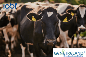 Dairy Gene Ireland Breeding Programme 2026: How It Works, Key Figures and Farmer Benefits