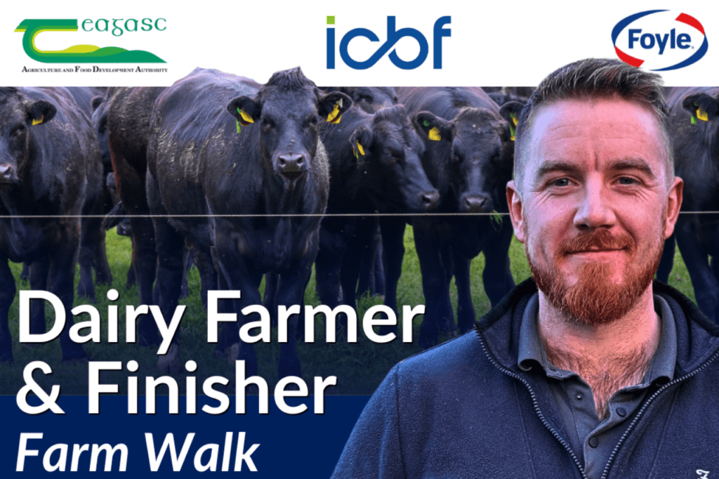 Beef Quality Awards 2025 Farm Walk – Ryan McElhinney