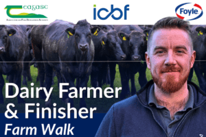 Beef Quality Awards 2025 Farm Walk – Ryan McElhinney