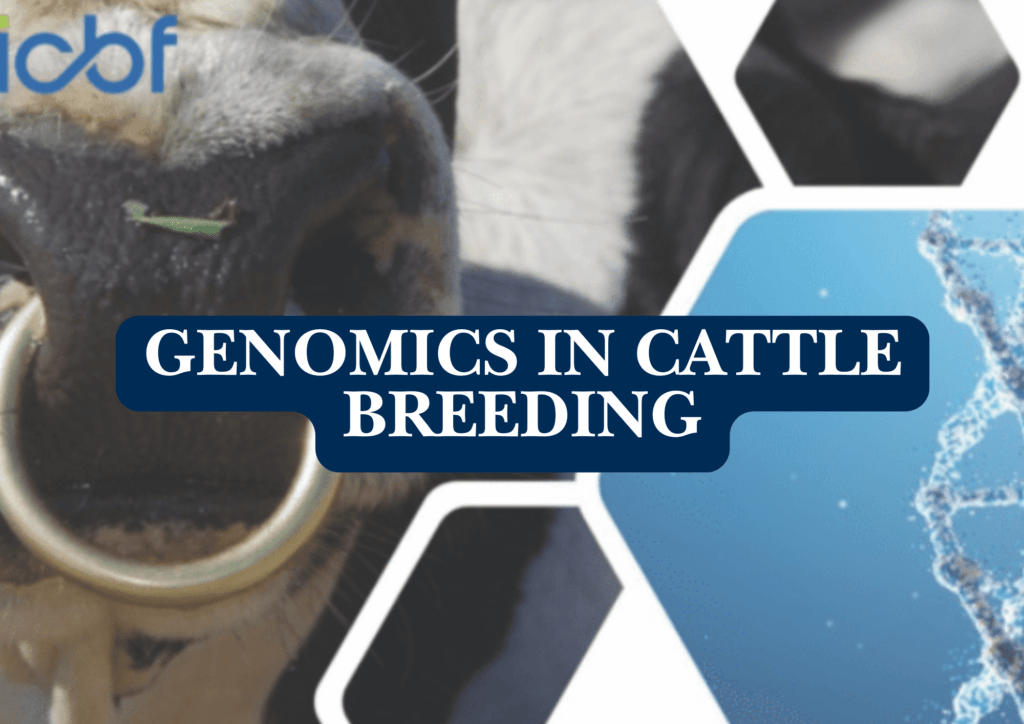 Genomics in Cattle Breeding: Benefits of Genotyping Your Herd