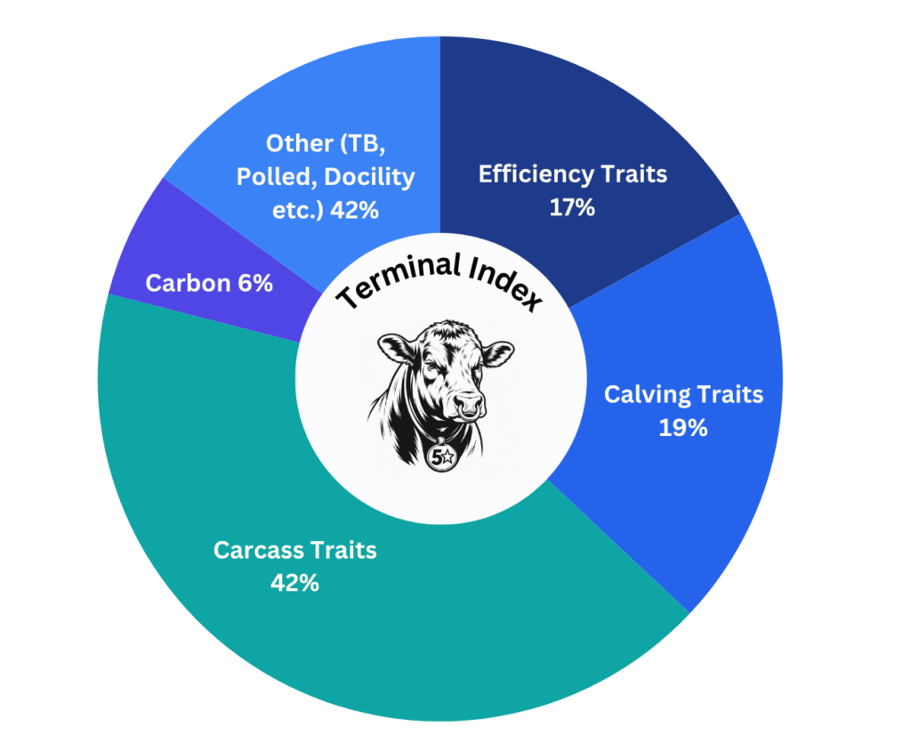 Donut chart illustrating the weighting of traits within the Terminal Index. The chart is divided into five categories: Carcass Traits (42%), Other Traits including TB resistance, polled genetics and docility (42%), Calving Traits (19%), Efficiency Traits (17%), and Carbon (6%). The centre of the chart contains an illustration of a beef animal and the title "Terminal Index".