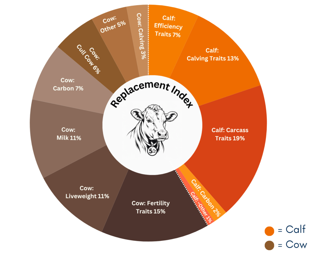 Circular infographic showing the traits and weightings that make up the Replacement Index. The chart is divided into calf traits (orange segments) and cow traits (brown segments). Calf traits include Carcass Traits (19%), Calving Traits (13%), Efficiency Traits (7%), Carbon (2%) and Other (1%). Cow traits include Fertility Traits (15%), Liveweight (11%), Milk (11%), Carbon (7%), Cull Cow (6%), Other (5%) and Calving (3%). A cow illustration appears in the centre with the title "Replacement Index", and a legend identifies orange as calf traits and brown as cow traits.