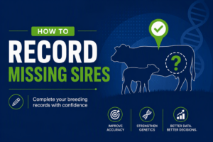 Read more about the article Record Missing Sires Using the ICBF Website and App