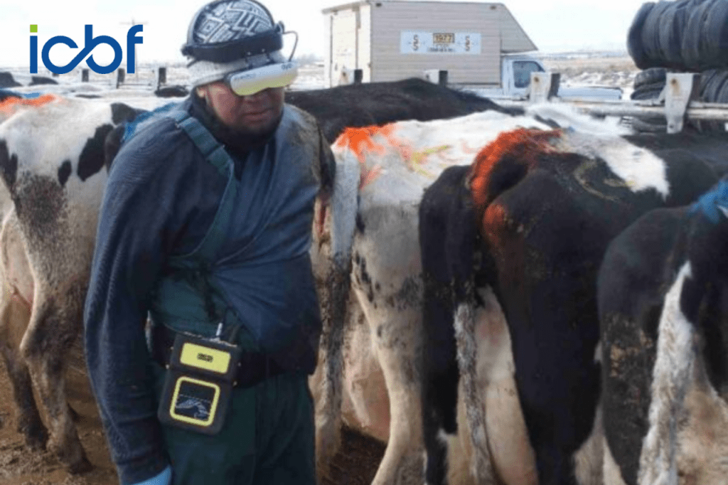 End of Season Fertility Report: Review Your Herd’s Breeding Performance