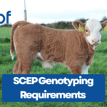 SCEP Genotyping Requirements 2026: Check Your Progress Before the 30 November Deadline