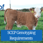 SCEP Genotyping Requirements 2026: Check Your Progress Before the 30 November Deadline