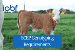 Read more about the article SCEP Genotyping Requirements 2026: Check Your Progress Before the 30 November Deadline