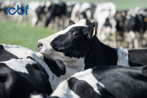 Record Heat & AI / Serve Events with HerdPlus