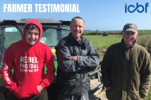 Read more about the article Denis O’Donovan: Using HerdPlus and Genotyping to Improve Dairy Farm Performance