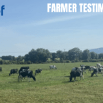 How HerdPlus, Genotyping and Breeding Data Support Paul Flaherty’s Dairy Farm in Clonmel