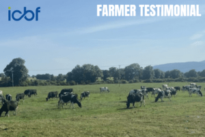 Read more about the article How HerdPlus, Genotyping and Breeding Data Support Paul Flaherty’s Dairy Farm in Clonmel