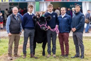 Supporting the Next Generation Through the Certified Irish Angus Schools Competition