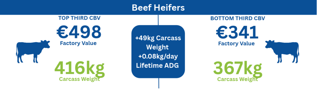 CBV comparison