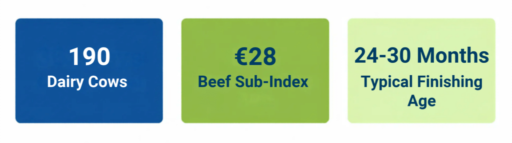 CBV figures