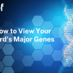 How to View Major Gene Results on HerdPlus