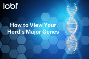 How to View Major Gene Results on HerdPlus