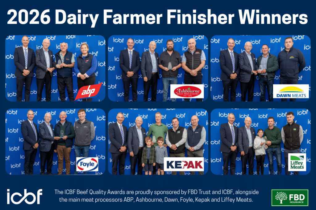 Meet the 2026 Dairy Farmer Finisher Award Winners!