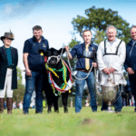 Liss Mirti B492: Supreme All-Ireland Champion Showcases the Power of Performance Recording and Pedigree Breeding