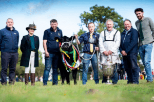 Liss Mirti B492: Supreme All-Ireland Champion Showcases the Power of Performance Recording and Pedigree Breeding