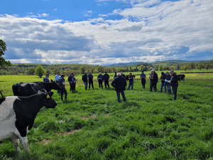 Read more about the article TeamAg Advisor Páidí Kelly Explains How Cows Own Worth (C.O.W.) Supports Better Dairy Culling Decisions