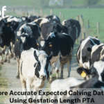 More Accurate Expected Calving Dates Using Gestation Length PTA